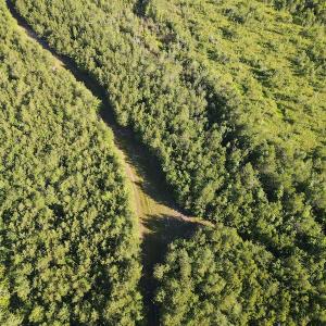 Photo #26 of Off Johnsontown Road, Elizabethtown, NC 129.5 acres