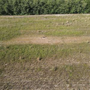 Photo #27 of Off Johnsontown Road, Elizabethtown, NC 129.5 acres