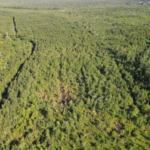 Photo #28 of Off Johnsontown Road, Elizabethtown, NC 129.5 acres