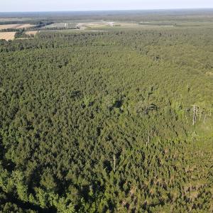 Photo #30 of Off Johnsontown Road, Elizabethtown, NC 129.5 acres