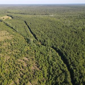 Photo #31 of Off Johnsontown Road, Elizabethtown, NC 129.5 acres