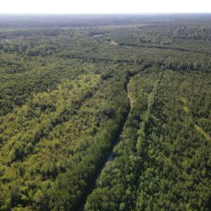 Photo #32 of Off Johnsontown Road, Elizabethtown, NC 129.5 acres