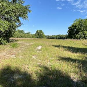 Photo #2 of Off Johnsontown Road, Elizabethtown, NC 129.5 acres