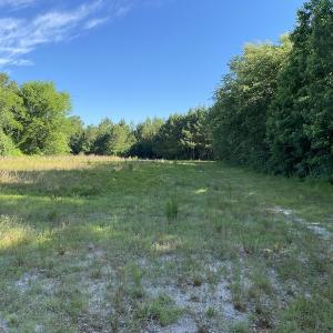 Photo #3 of Off Johnsontown Road, Elizabethtown, NC 129.5 acres