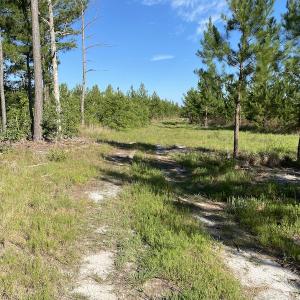 Photo #7 of Off Johnsontown Road, Elizabethtown, NC 129.5 acres