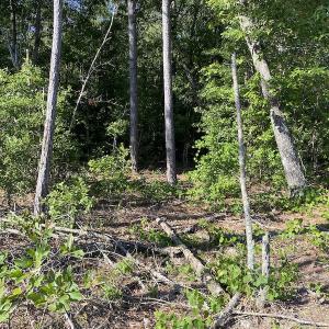 Photo #8 of Off Johnsontown Road, Elizabethtown, NC 129.5 acres