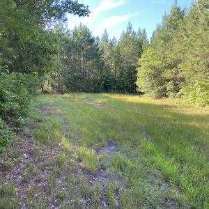 Photo #10 of Off Johnsontown Road, Elizabethtown, NC 129.5 acres
