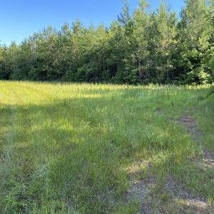 Photo #11 of Off Johnsontown Road, Elizabethtown, NC 129.5 acres