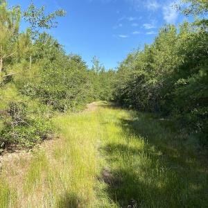 Photo #12 of Off Johnsontown Road, Elizabethtown, NC 129.5 acres