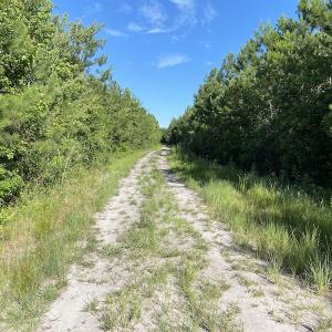 Photo #13 of Off Johnsontown Road, Elizabethtown, NC 129.5 acres