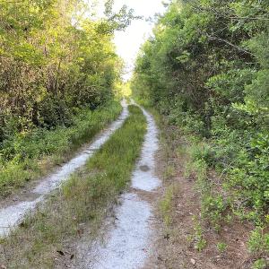 Photo #14 of Off Johnsontown Road, Elizabethtown, NC 129.5 acres