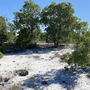 Photo #17 of Off Johnsontown Road, Elizabethtown, NC 129.5 acres