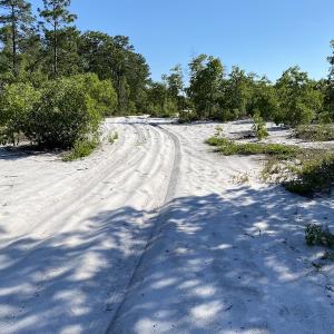 Photo #20 of Off Johnsontown Road, Elizabethtown, NC 129.5 acres