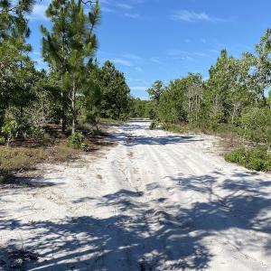 Photo #21 of Off Johnsontown Road, Elizabethtown, NC 129.5 acres