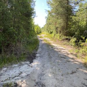 Photo #22 of Off Johnsontown Road, Elizabethtown, NC 129.5 acres