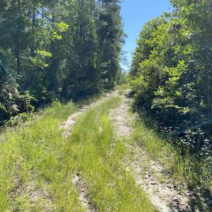 Photo #23 of Off Johnsontown Road, Elizabethtown, NC 129.5 acres