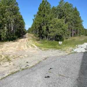 Photo #24 of Off Johnsontown Road, Elizabethtown, NC 129.5 acres