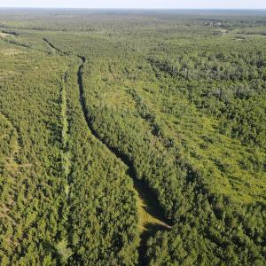Photo #34 of Off Johnsontown Road, Elizabethtown, NC 129.5 acres