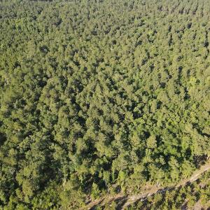 Photo #35 of Off Johnsontown Road, Elizabethtown, NC 129.5 acres
