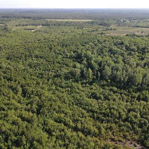 Photo #36 of Off Johnsontown Road, Elizabethtown, NC 129.5 acres