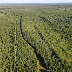 Photo #38 of Off Johnsontown Road, Elizabethtown, NC 129.5 acres