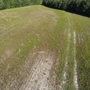 Photo #39 of Off Johnsontown Road, Elizabethtown, NC 129.5 acres