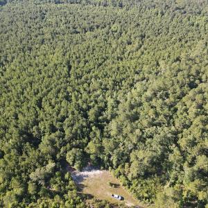 Photo #42 of Off Johnsontown Road, Elizabethtown, NC 129.5 acres