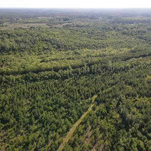 Photo #43 of Off Johnsontown Road, Elizabethtown, NC 129.5 acres