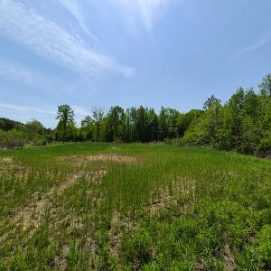 Photo #2 of 1035 Mill Road, Clover, VA 217.9 acres