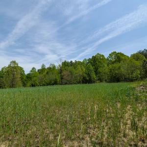 Photo #4 of 1035 Mill Road, Clover, VA 217.9 acres