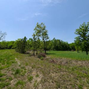 Photo #5 of 1035 Mill Road, Clover, VA 217.9 acres