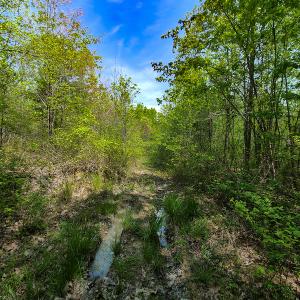 Photo #6 of 1035 Mill Road, Clover, VA 217.9 acres