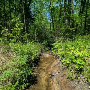 Photo #7 of 1035 Mill Road, Clover, VA 217.9 acres