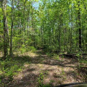 Photo #10 of 1035 Mill Road, Clover, VA 217.9 acres