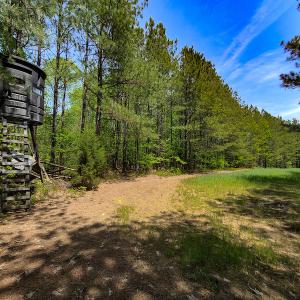 Photo #16 of 1035 Mill Road, Clover, VA 217.9 acres