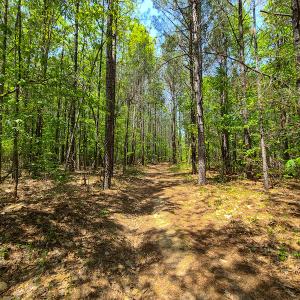 Photo #18 of 1035 Mill Road, Clover, VA 217.9 acres