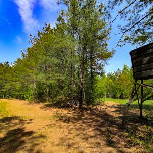 Photo #23 of 1035 Mill Road, Clover, VA 217.9 acres