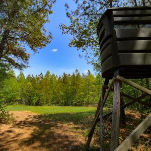 Photo #24 of 1035 Mill Road, Clover, VA 217.9 acres