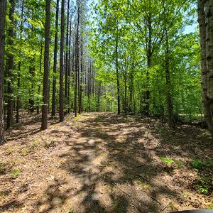 Photo #27 of 1035 Mill Road, Clover, VA 217.9 acres
