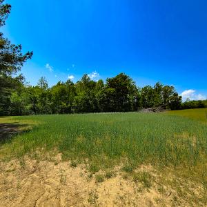 Photo #28 of 1035 Mill Road, Clover, VA 217.9 acres