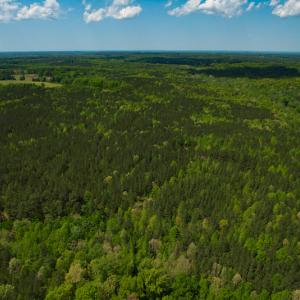 Photo #34 of 1035 Mill Road, Clover, VA 217.9 acres