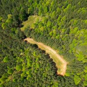 Photo #35 of 1035 Mill Road, Clover, VA 217.9 acres