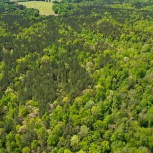 Photo #37 of 1035 Mill Road, Clover, VA 217.9 acres