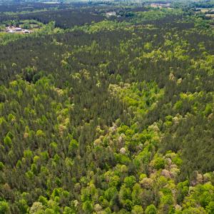 Photo #38 of 1035 Mill Road, Clover, VA 217.9 acres