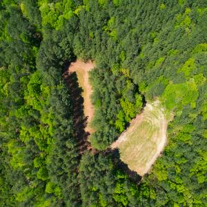 Photo #39 of 1035 Mill Road, Clover, VA 217.9 acres