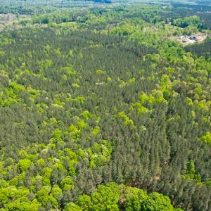 Photo #40 of 1035 Mill Road, Clover, VA 217.9 acres