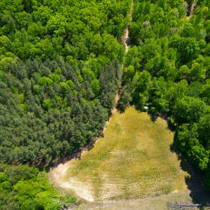 Photo #41 of 1035 Mill Road, Clover, VA 217.9 acres