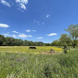 Photo #14 of SOLD property in Off East River Road, Cardinal, VA 10.3 acres