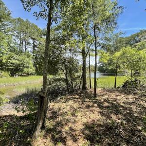 Photo #18 of SOLD property in Off East River Road, Cardinal, VA 10.3 acres