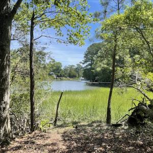Photo #19 of SOLD property in Off East River Road, Cardinal, VA 10.3 acres